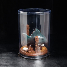 Poisson gourmand Cacao Valley