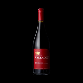 TOURAINE ROUGE 75CL CHATEAU VALLAGON
