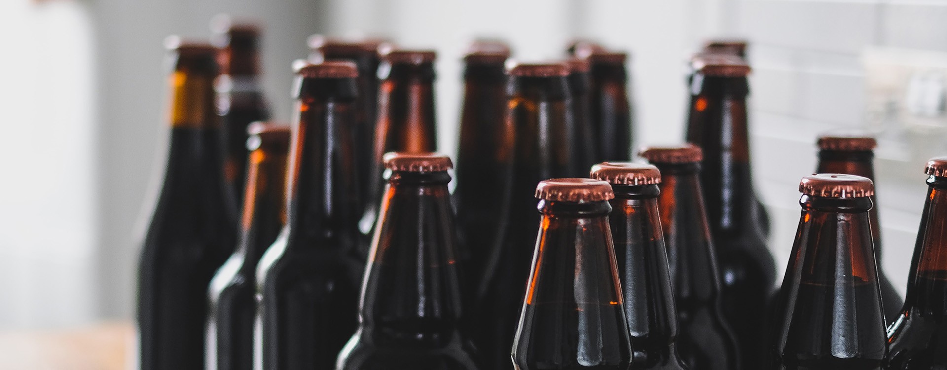 Bières brunes